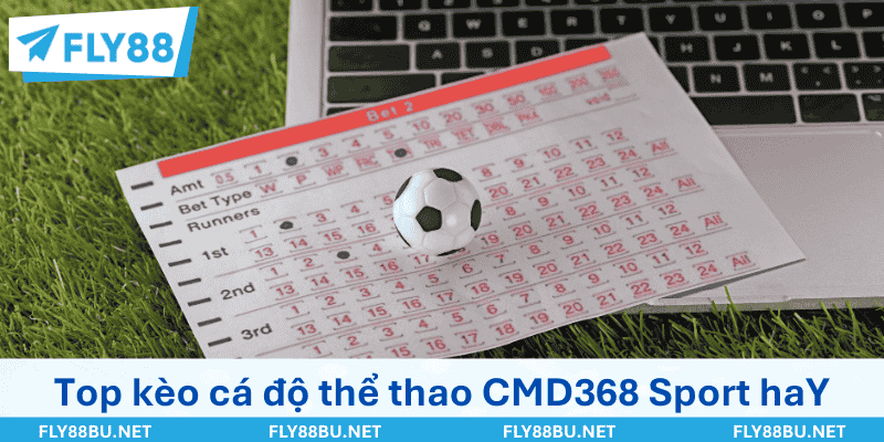 Top kèo cá độ thể thao CMD368 Sport hay nhất