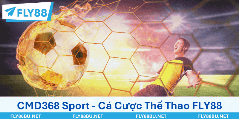 CMD368 Sport - Cá Cược Thể Thao Đỉnh Nóc Kịch Trần Tại FLY88