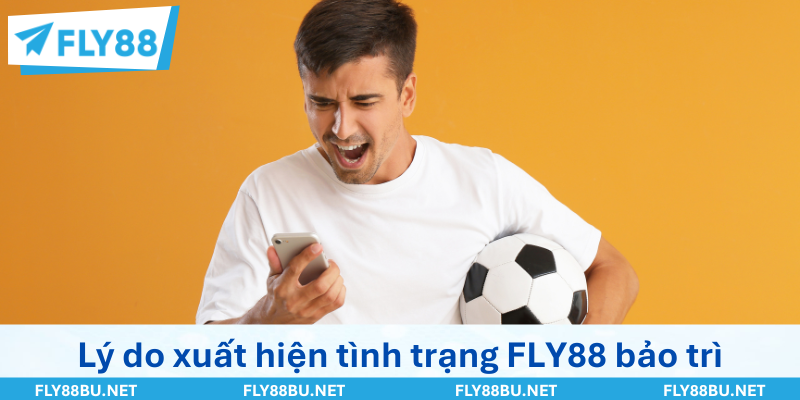 Lý do xuất hiện tình trạng FLY88 bảo trì