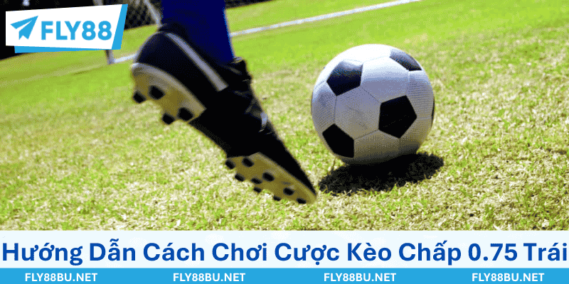 Hướng Dẫn Tân Thủ Cách Chơi Cược Kèo Chấp 0.75 Trái