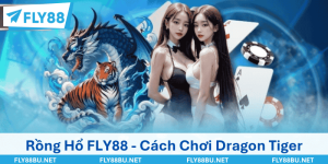 Rồng Hổ FLY88 - Cách Chơi Dragon Tiger Dễ Chưa Từng Thấy
