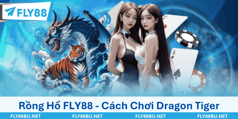 Rồng Hổ FLY88 - Cách Chơi Dragon Tiger Dễ Chưa Từng Thấy