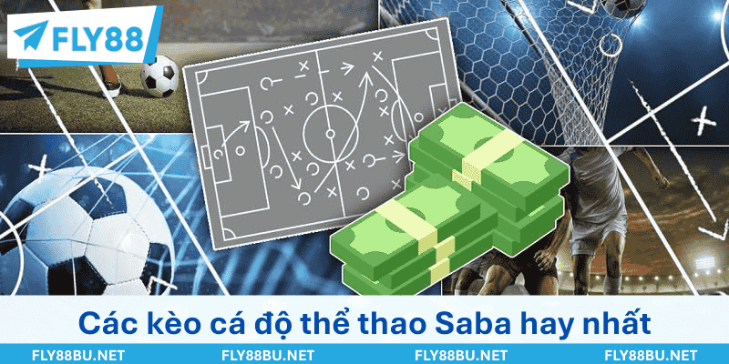 Đa dạng kèo cược cá độ tại sảnh Saba sports